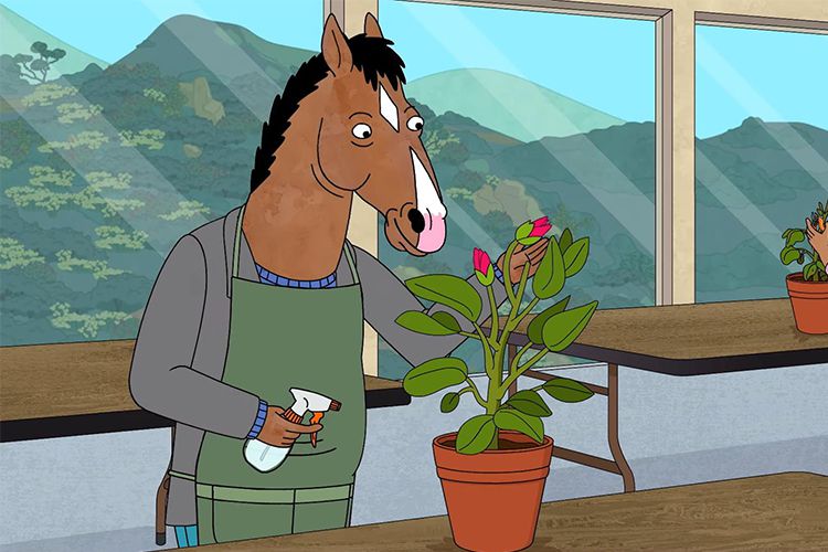 فصل ششم سریال BoJack Horseman