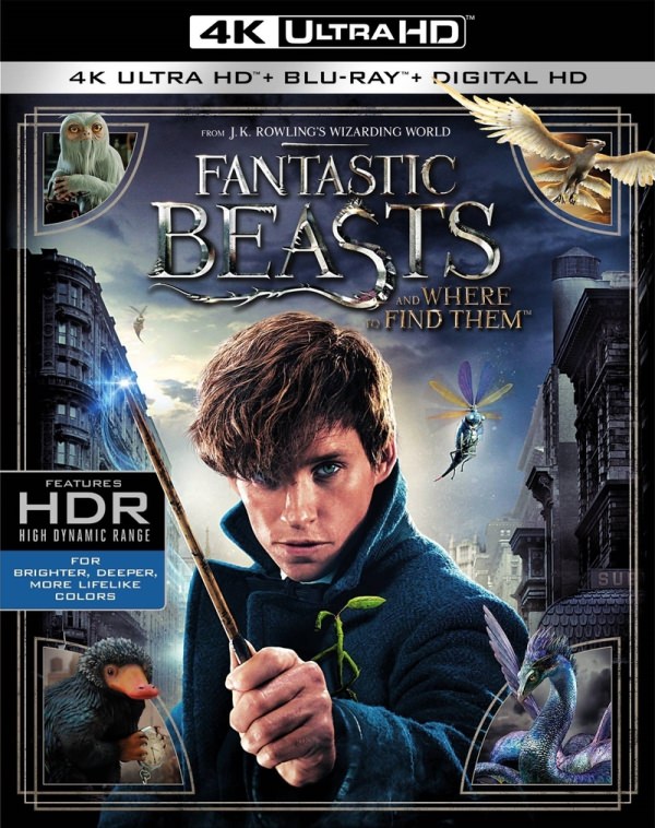 Fantastic Beasts and Where to Find Them Blu-ray/DVD and digital