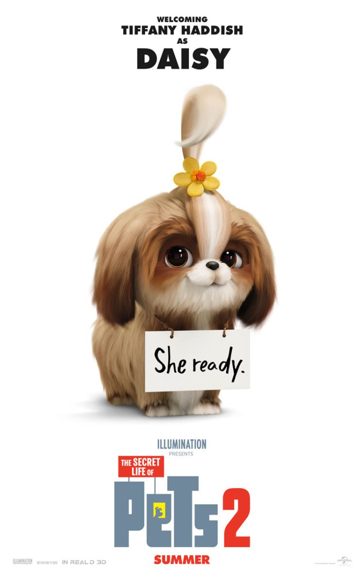 The Secret Life of Pets 2 Poster