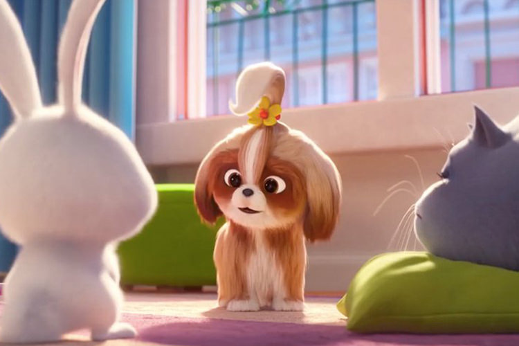 The Secret Life of Pets 2