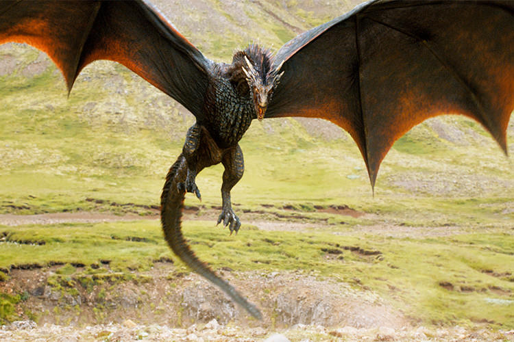Drogon in Game Of Thrones Season 6