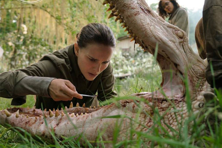 احتمال انتشار فیلم Annihilation از شبکه نت فلیکس