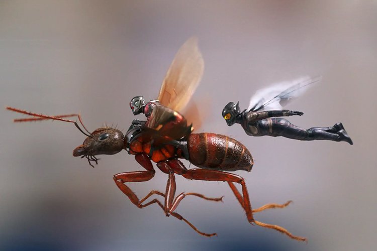 پوستر IMAX و تصاویر جدیدی از فیلم Ant-Man and The Wasp منتشر شد