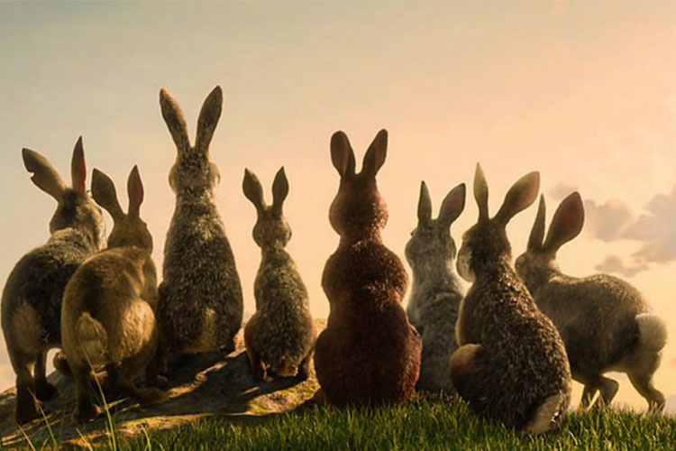 اولین تصاویر از انیمیشن Watership Down منتشر شد