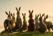 Watership Down