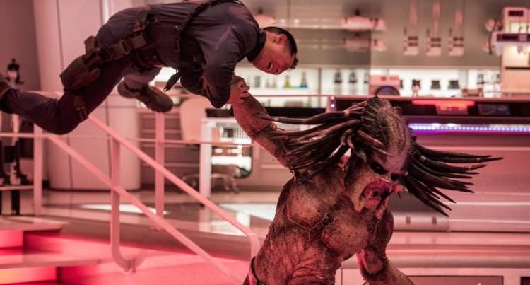 The Predator Image