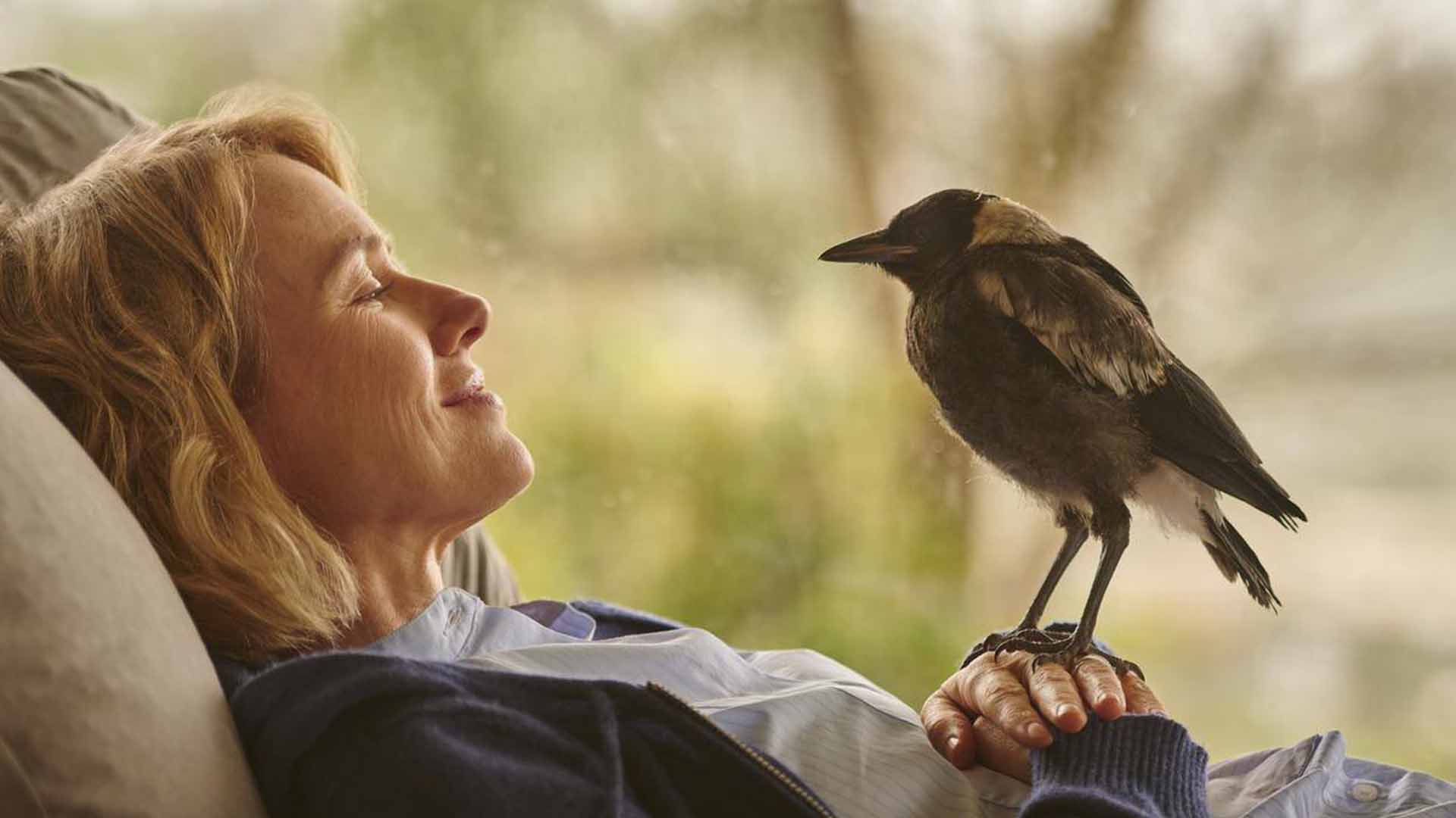 پرنده پنگوئن بلوم در حال نگاه کردن به نائومی واتس در فیلم Penguin Bloom