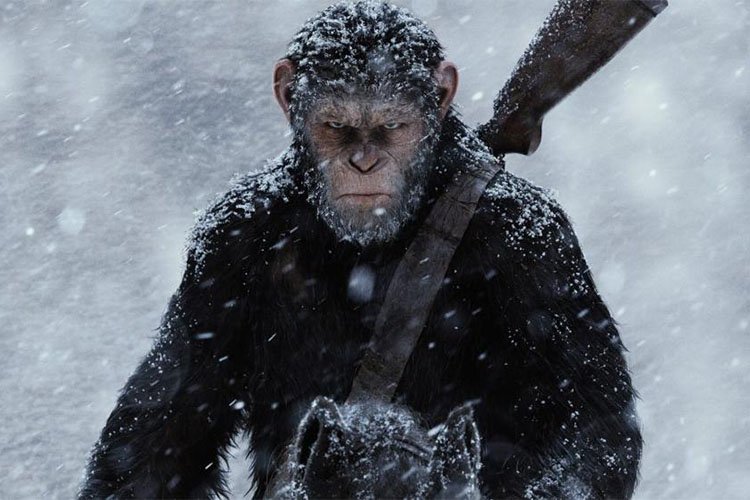 یکی از شخصیت‌های اصلی مجموعه سیاره میمون‌ها در فیلم War for the Planet of the Apes حضور دارد